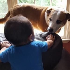 Meet your Posher, Teresa